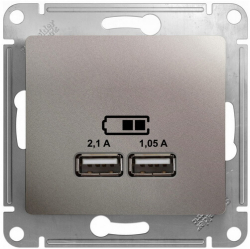 Розетка USB Glossa (платина) GSL001233