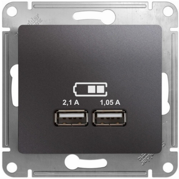Розетка USB Glossa (графит) GSL001333