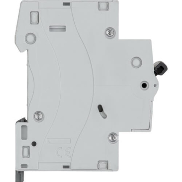 Автоматический выключатель RX3 1-полюсный 06А 419661