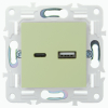 Розетка USB A+C 18Вт IEK SKANDY SK-R13G (мятный) SK-U22-018-K06