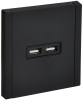 Розетка USB A+A FORTE&PIANO 3,1А FP149M (металл черный) FP-U21-D31-M-K02