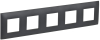 Рамка SKANDY пятиместная (титан) SK-F05T SK-M52-K48