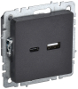 Розетка USB BRITE A+C 18Вт черный РЮ11-1-БрЧ BR-U22-018-K02