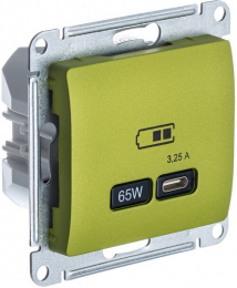 Розетка USB Glossa тип С 65W высокоскор.заряд. QC, PD (фисташковый) GSL001027