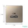 Розетка USB ArtGallery тип С высокоскор. заряд 65W QC PD (шампань) GAL000527