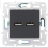Розетка USB A+A 3,1А IEK SKANDY SK-R15T (титан) SK-U21-D31-K48