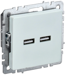 Розетка USB BRITE A+A 3,1А жемчуг РЮ10-1-БрЖ BR-U21-D31-K36