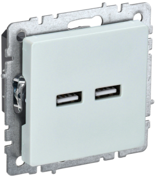 Розетка USB BRITE A+A 3,1А жемчуг РЮ10-1-БрЖ BR-U21-D31-K36