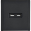 Розетка USB A+A FORTE&PIANO 3,1А FP149M (металл черный) FP-U21-D31-M-K02