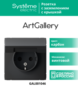 Розетка ArtGallery с крышкой IP20 (карбон) GAL001046