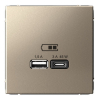 Розетка USB ArtGallery тип А/тип С высокоскор. заряд 45W QC PD (шампань) GAL000529