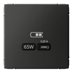 Розетка USB ArtGallery тип С высокоскор. заряд 65W QC PD (базальт) GAL001427