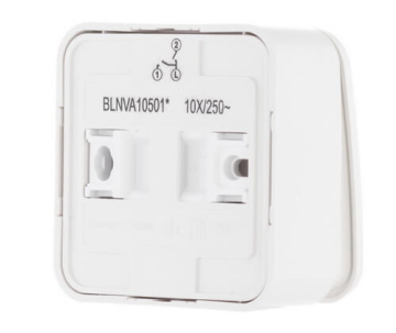 Выключатель 2кл Blanca О/У 10А с изолир. пластиной (белый) BLNVA105011