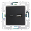 Розетка USB A+C 3,1А IEK SKANDY SK-R14Bl (черный) SK-U22-D31-K02