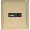 Розетка USB A+C FORTE&PIANO 18Вт FP651M (металл шампань) FP-U22-018-M-K37
