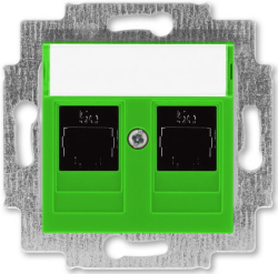 Розетка компьютерная двойная ABB Levit кат. 5e (зеленый) 5014H-A51018 67W 2CHH295118A6067