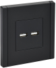 Розетка USB A+A FORTE&PIANO 3,1А FP149 (черный) FP-U21-D31-K02