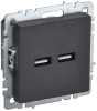 Розетка USB BRITE A+A 3,1А черный РЮ10-1-БрЧ BR-U21-D31-K02