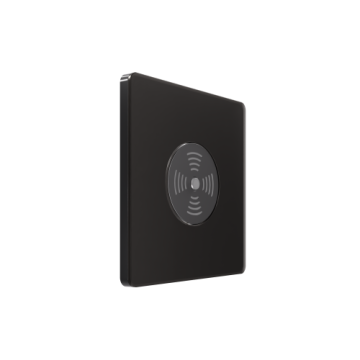 Выключатель звуковой SE Systeme Infinity 100Вт с выдержкой времени (полярная ночь) FSE001094