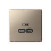 Розетка USB ArtGallery тип С высокоскор. заряд 65W QC PD (шампань) GAL000527