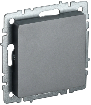 Заглушка BRITE с суппортом сталь МЗ10-БрС BR-PL10-K46