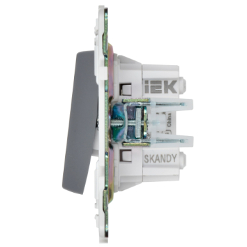 Выключатель перекрестный 2-клавишный IEK SKANDY 10А SK-V06Gr (серый) SK-V23-0-10-K03