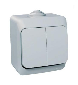 Выключатель Этюд О/У 2-клавишный Systeme Electric IP44 (серый) BA10-042C