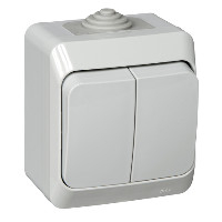 Выключатель Этюд О/У 2-клавишный Systeme Electric IP44 (серый) BA10-042C