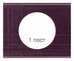 Рамка Сeliane одноместная (Кожа пурпур) 069441