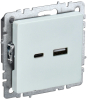 Розетка USB BRITE A+C 18Вт жемчуг РЮ11-1-БрЖ BR-U22-018-K36
