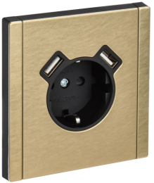 Зарядка USB (А+A) с розеткой IEK FORTE&PIANO 3,1А FP645M (металл шампань) FP-R14-16-U21-D31-M-K37