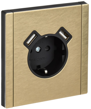 Зарядка USB (А+A) с розеткой IEK FORTE&PIANO 3,1А FP645M (металл шампань) FP-R14-16-U21-D31-M-K37