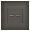 Розетка USB A+A FORTE&PIANO 3,1А FP349 (серый) FP-U21-D31-K03