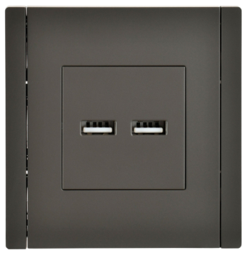Розетка USB A+A FORTE&PIANO 3,1А FP349 (серый) FP-U21-D31-K03