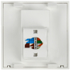 Розетка информационная IEK PRIMER RJ-45 UTP кат 5e 2 модуля РКИ-20-00-П CKK-40D-RI2-K01