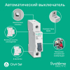 Автоматический выключатель Systeme Electric City9 Set 1п 25A 6kA (хар-ка C) C9F36125