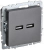 Розетка USB BRITE A+A 3,1А сталь РЮ10-1-БрС BR-U21-D31-K46