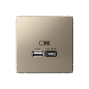 Розетка USB ArtGallery тип А/тип С высокоскор. заряд 45W QC PD (шампань) GAL000529
