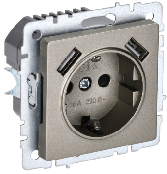 Зарядка USB (А+А) 3,1А с розеткой 16А BRITE шампань РЮш10-2-БрШ BR-R14-16-U21-D31-K37