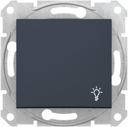 Кнопочный выключатель Sedna с символом «свет» (графит) SDN0900170