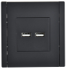 Розетка USB A+A FORTE&PIANO 3,1А FP149 (черный) FP-U21-D31-K02
