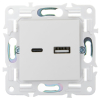 Розетка USB A+C 3,1А IEK SKANDY SK-R14W (арктический белый) SK-U22-D31-K01