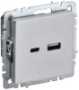 Розетка USB BRITE A+C 18Вт алюминий РЮ11-1-БрА BR-U22-018-K47