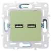Розетка USB A+A 3,1А IEK SKANDY SK-R15G (мятный) SK-U21-D31-K06