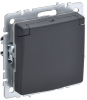 Розетка с крышкой BRITE IP 20 графит (РСбш10-3-БрГ) BR-R16-16-K53