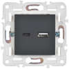 Розетка USB A+C 18Вт IEK SKANDY SK-R13G (графит) SK-U22-018-K53