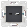 Розетка USB A+C 18Вт IEK SKANDY SK-R13T (титан) SK-U22-018-K48