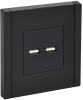 Розетка USB A+A FORTE&PIANO 3,1А FP149 (черный) FP-U21-D31-K02