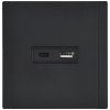 Розетка USB A+C FORTE&PIANO 3,1А  FP150M (металл черный) FP-U22-D31-M-K02