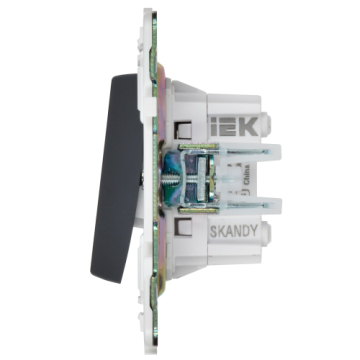 Выключатель перекрестный 2-клавишный IEK SKANDY 10А SK-V06T (титан) SK-V23-0-10-K48